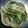 ななこ２２'s cooksnap of when they made にらのしょうゆ漬け＊辛口.