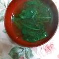 あざらしの赤ちゃん's cooksnap of when they made サラダ菜の味噌汁.