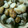 ミンロー's cooksnap of when they made こっくり美味しい☆　栗と鶏肉の煮もの.