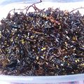 みつばちまちゃ's cooksnap of when they made ごはんのお供です♪ゴーヤと切り昆布の佃煮.