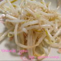 よしえうさぎ's cooksnap of when they made 簡単☆ざっざっと！もやし炒め.