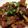 Yamato_o_o's cooksnap of when they made 簡単時短☆薄切り肉で甘辛生姜焼き.