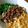 レイア♪'s cooksnap of when they made しんぷる☆ありもの３色丼.