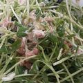 ちょこ28's cooksnap of when they made 豆苗とツナのサラダ.