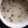 まっちょぱんだ's cooksnap of when they made きのこの豆乳スープ.