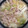 ☆ゆみよ☆'s cooksnap of when they made 簡単！白菜と豚肉の中華風うま煮.
