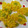 daigo1009's cooksnap of when they made 旬のとうもろこしと枝豆のかき揚げ.
