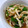 *usako*'s cooksnap of when they made きのこともやしのめんつゆ漬け.