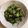 ちはるき27's cooksnap of when they made モロヘイヤとオクラのお浸し.