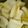 don_doko's cooksnap of when they made レンコンのピクルス・箸休めに♬.