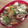 minnie♬'s cooksnap of when they made 簡単一人ご飯☆塩麹焼きそば.