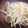 こうへい1206's cooksnap of when they made もやしのナムル風.