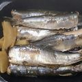 肉魚菜's cooksnap of when they made イワシの生姜煮.