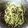 ☆mariel☆'s cooksnap of when they made レンジで♪ひじき・豆苗の中華風酢のもの.