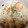 sairu555's cooksnap of when they made 炊飯器で簡単ピラフ.