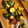 おたんこぷー's cooksnap of when they made 南瓜とさつま芋の甘煮.