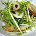 なみたつ's cooksnap of when they made 水菜とちくわのサラダ.
