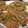 pinegeorge's cooksnap of when they made もっちもち☆簡単チヂミ.