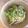 gaviota's cooksnap of when they made 激うま☆ペペロンチーノ風焼きそば☆.