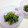 サンディサンディ's cooksnap of when they made ほうれん草の胡麻和え.