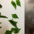 mantacarp's cooksnap of when they made 大葉の簡単保存.