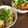 ※ぴーまん's cooksnap of when they made ちぎって和えただけサラダ☆材料1つ.