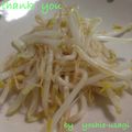 よしえうさぎ's cooksnap of when they made シンプル＊もやし炒め.