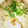 mayong's cooksnap of when they made 炊飯器にお任せ！寒い夜にお手軽参鶏湯風.