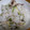 きみ子's cooksnap of when they made しそとみょうがとしらすのおにぎり。.