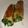 ミロ9607's cooksnap of when they made 豆苗豚バラ巻き.