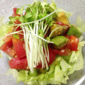 テンちゃん♪'s cooksnap of when they made アボカドとトマトのポキ風.