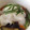 4katsu's cooksnap of when they made 簡単！夏野菜の揚げ浸し.