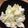 ちいぼぅ☆'s cooksnap of when they made 簡単！キャベツ酢漬け.