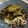 みきてぃ304's cooksnap of when they made 簡単！なすのカレーそうめん.