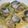 iseagiab10's cooksnap of when they made ✽ボンゴレ　ビアンコ✽.