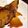 CBR250RR's cooksnap of when they made 新食感！ブリ照り☆濃厚バター風味.