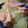 cochidori's cooksnap of when they made 冬瓜とﾍﾞｰｺﾝの塩胡椒炒め.