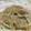 働くママ40's cooksnap of when they made 手軽な材料で簡単おつまみ！もやし炒め.