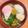 いいお天気♬'s cooksnap of when they made 鶏のダシで★我が家のお雑煮.