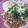 ふっつーの主婦♬'s cooksnap of when they made 夏に★簡単さっぱり納豆冷やしうどん.