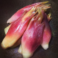 morigin's cooksnap of when they made みょうがの甘酢漬け.
