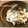 Ｔ，ＳＡＥＫＯ's cooksnap of when they made ささみと三つ葉のわさびマヨ和え.