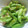 うさぎのにょに's cooksnap of when they made 病みつき！すぐ出来！枝豆の黒胡椒炒め.