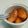 ３児ママCafe's cooksnap of when they made 柿の洋酒マリネ.