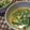 3匹の子ブタｍａｍａ's cooksnap of when they made ～。：＊ニラの卵とじ＊：。～.
