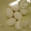 カルビ久美's cooksnap of when they made おすすめ！裏技で超簡単【半熟たまご】.