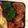 たろぷぅ's cooksnap of when they made お弁当☆鶏肉とアスパラのイタリアン.