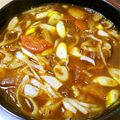 ami-rarara's cooksnap of when they made 余ったカレーで手抜きカレーうどん.