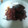 灯籠猫's cooksnap of when they made 秋刀魚の蒲焼.