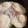 さちぶた♪'s cooksnap of when they made ハムエッグ　半熟目玉焼き.